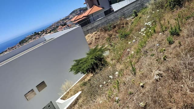Vereador independente alerta para elevado risco de incêndio em terrenos públicos no Funchal