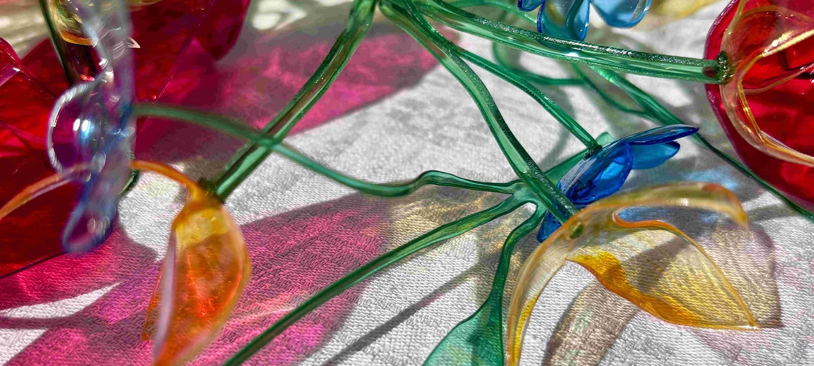 Fundação Fernando Leite Couto acolhe exposição sobre impacto dos plásticos no ambiente