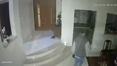 Com PMs no alvo, em 36 dias, dupla invadiu e furtou casas de dois coronéis 