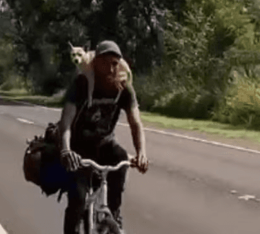 Cadela viaja agarrada ao pescoço do tutor em bicicleta
