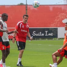 <![CDATA[ Marco Silva avalia o plantel do Benfica: como tem sido a evolução dos treinos no Seixal ]]>