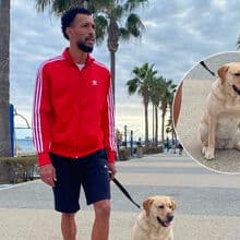 <![CDATA[ Vozinha tem um grande amor de quatro patas: «É como se fosse uma filha para ele» ]]>