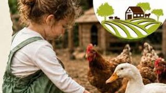 Quinta Pedagógica da Camacha retoma visitas livres
