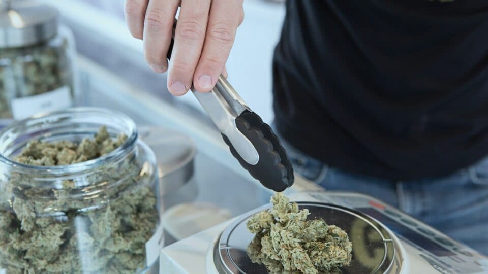 Grupo de Lulinha tentou usar brecha para obrigar governo a comprar composto da maconha