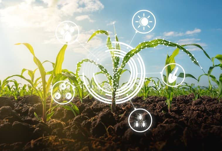 Inteligência artificial avança no agro e transforma gestão das propriedades