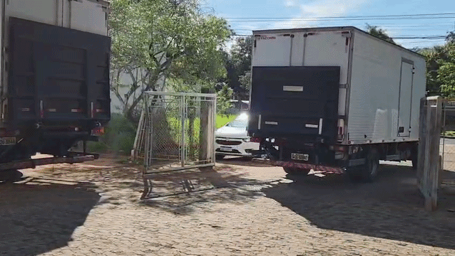 Tonelada de "Monjauro paraguaio" segue em comboio rumo à incineração