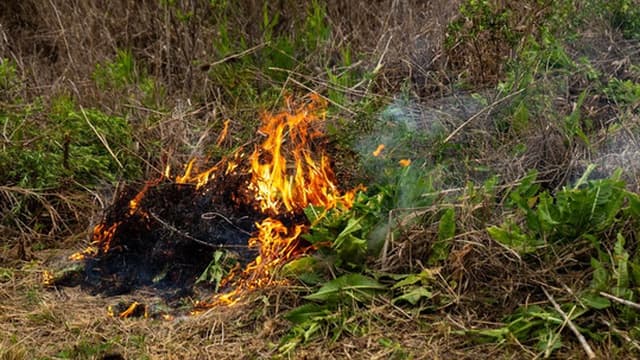 Quase todo o território nacional em risco máximo e muito elevado de incêndio