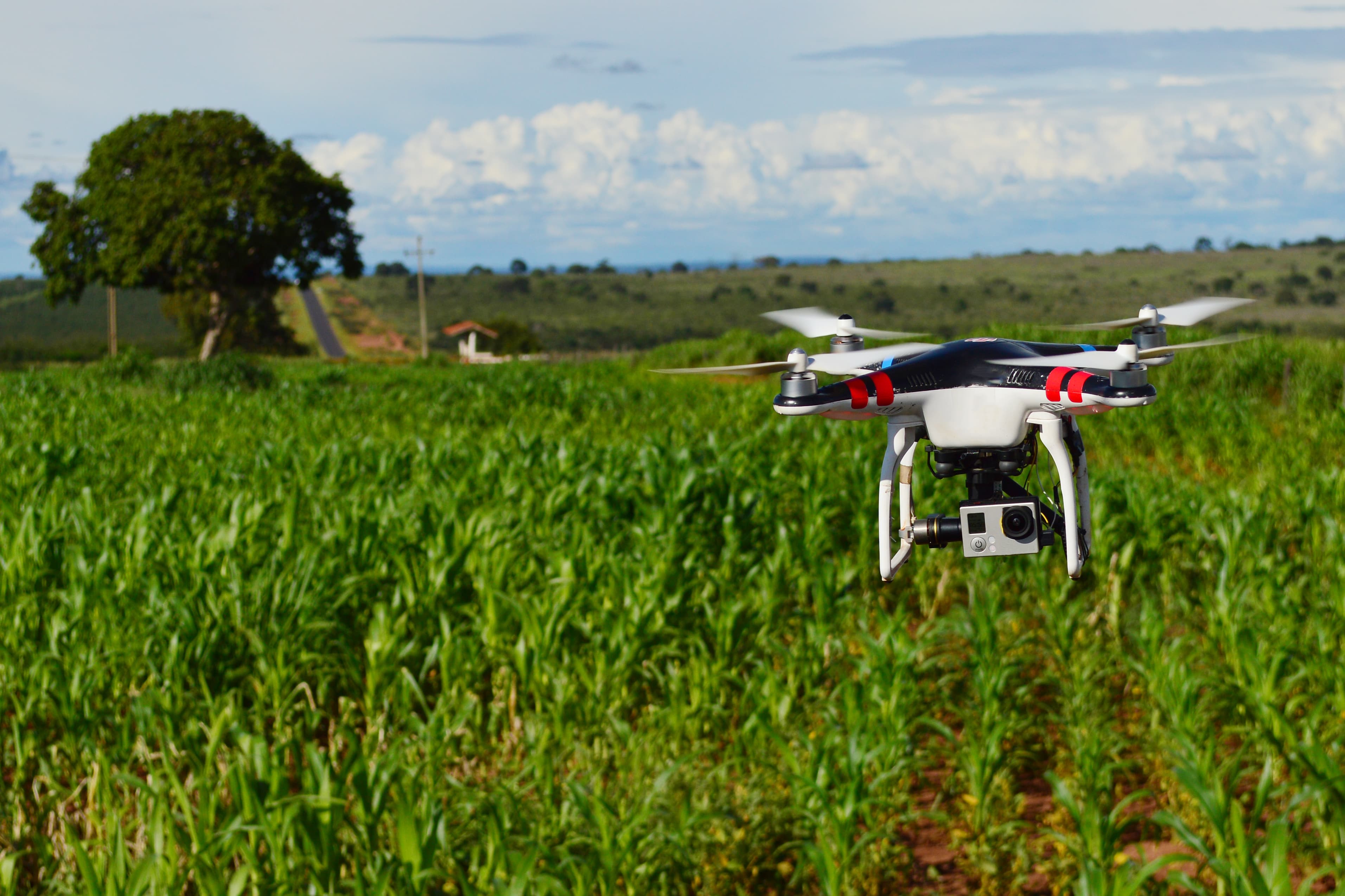 Mato Grosso do Sul está entre os 10 estados que mais usam drones no agronegócio
