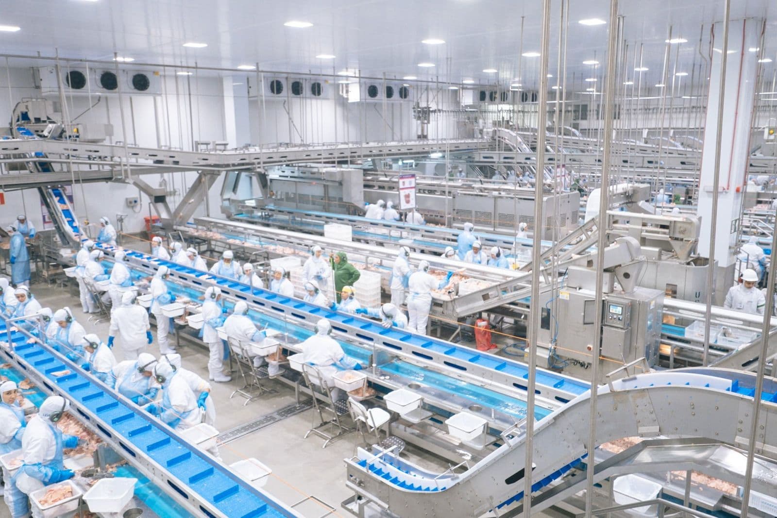 Investimento de R$ 18 milhões impulsiona expansão da avicultura no sul do Estado