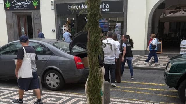 Operação "Não muito inteligente" apanha três por tráfico de droga na Madeira