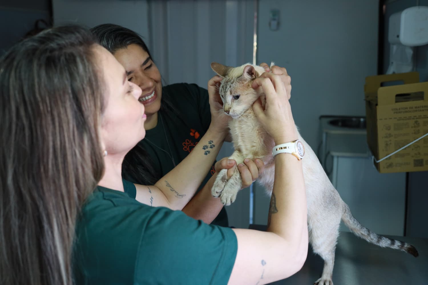 Consultório móvel para atender cães e gatos chega ao Bairro Oliveira III