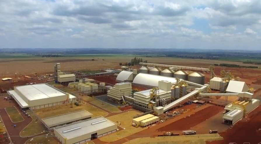 Mesmo com 6 esmagadoras, MS ainda vende quase metade da soja como commodity