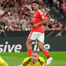 <![CDATA[ «Trabalho de equipa»: Benfica fez 31 passes até chegar ao golo de Bah frente ao Celtic ]]>