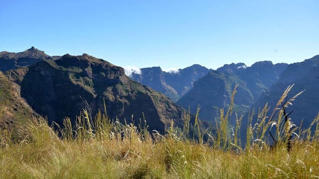 Regiões montanhosas da Madeira com aviso laranja devido ao calor
