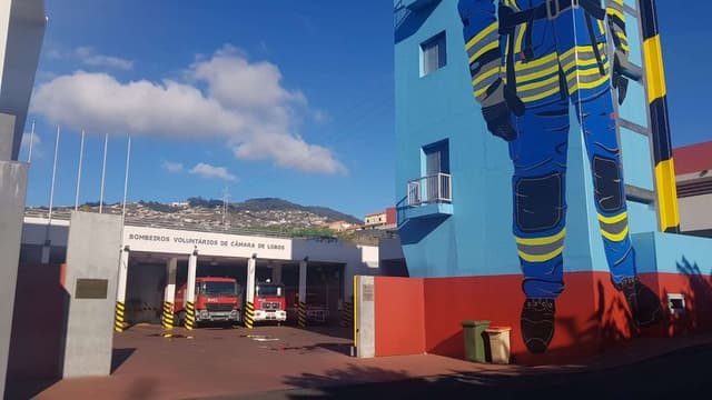 Incêndio em mato na Levada dos Salões