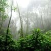 Governo adapta estratégia da biodiversidade às regras europeias de restauro da natureza