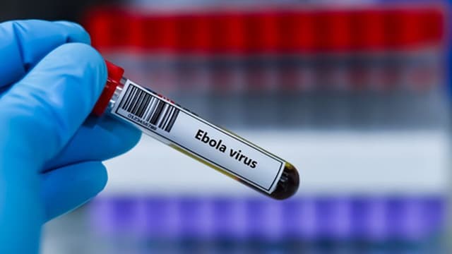 Número de mortes sobe para 360 na epidemia da RDCongo