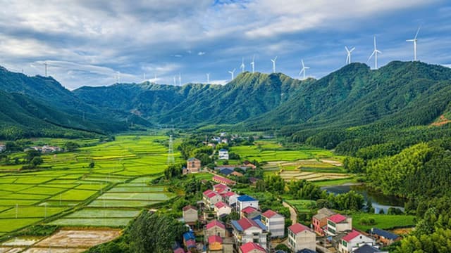 Estudo alerta que Europa investe pouco em energia eólica e renovação de edifícios
