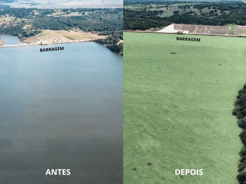 Usina diz que faz estudo sobre plantas aquáticas no reservatório de Mimoso