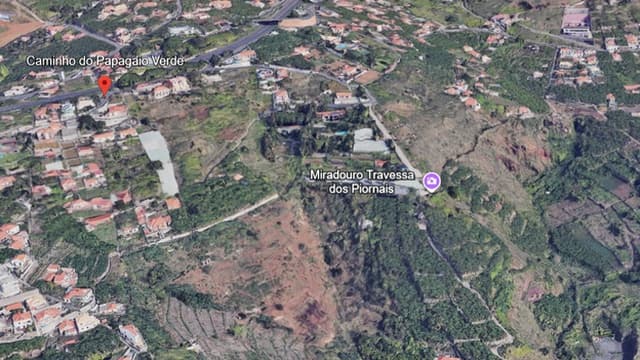 Incêndio em mato mobiliza Sapadores do Funchal