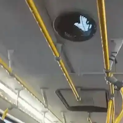 Passageiros começam o dia desviando de goteira dentro de ônibus