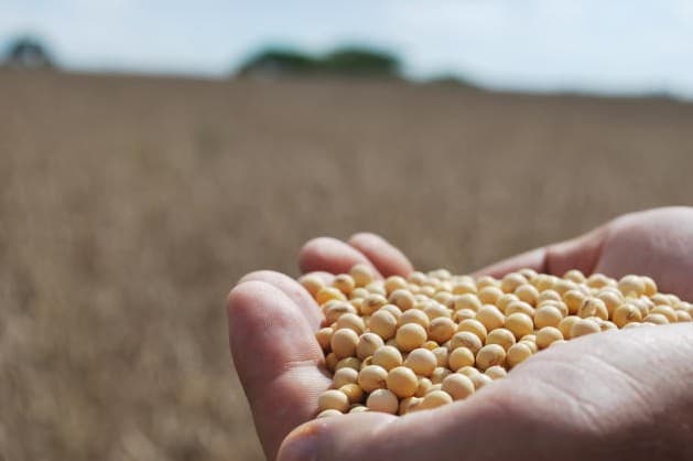 VBP de MS cresce quase 60% em 10 anos e supera R$ 84 bilhões no campo