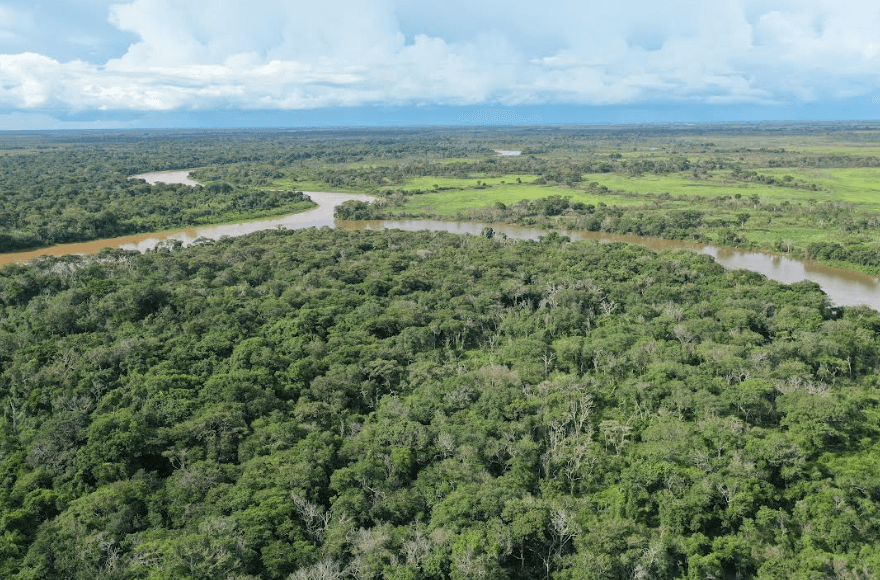 Reserva em Corumbá terá 95% da área voltada à preservação da onça pintada