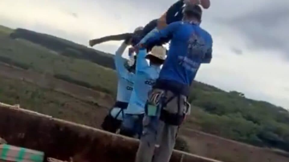 Culpados ou “bodes expiatórios”? A justiça para caso em Limeira