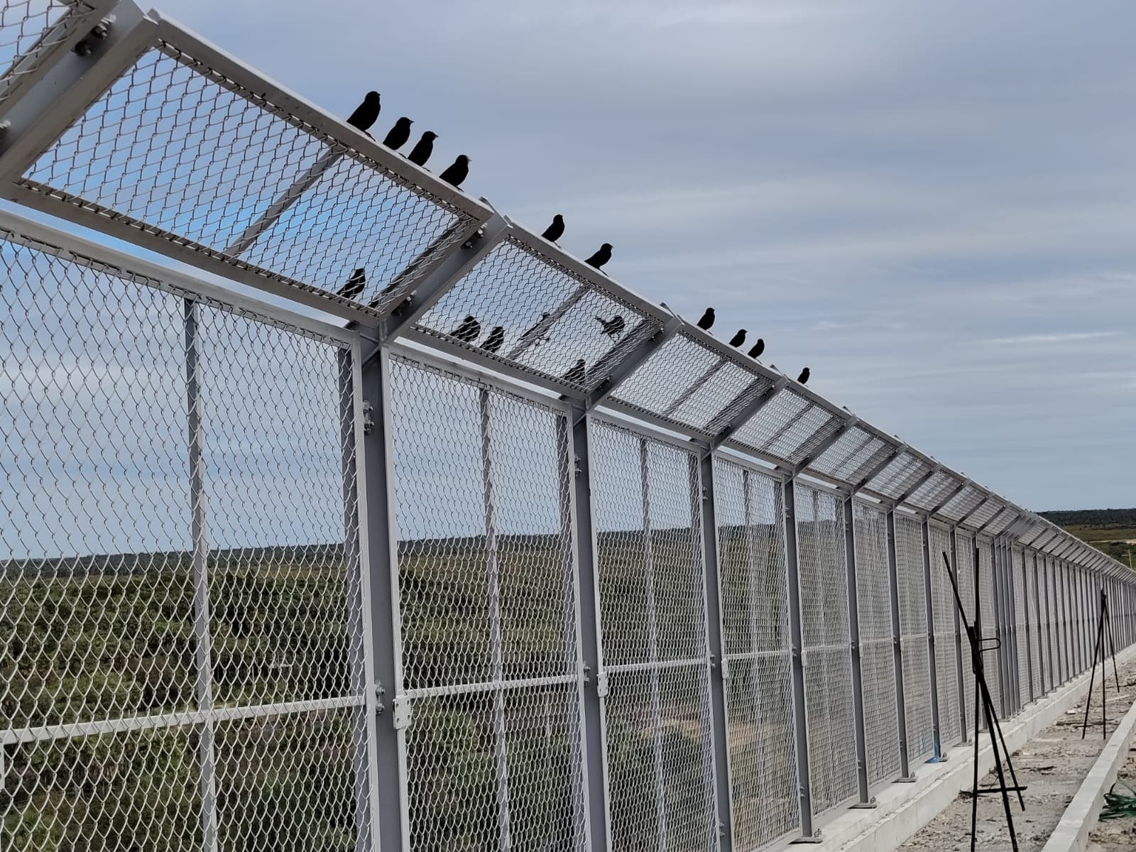 Ponte da Bioceânica ganha estrutura para evitar colisões de aves em voo