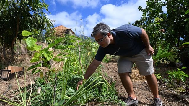 Imersão dedicada à agrofloresta no Jardim da Serra