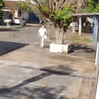 Pitbull escapa de residência e ataca mulher de 53 anos na Vila Taquarussu