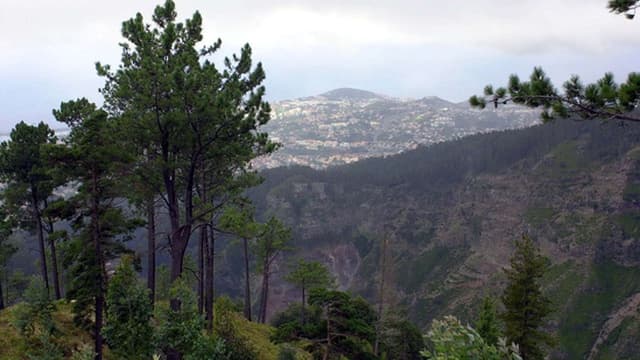 Céu muito nublado e possibilidade de aguaceiros nas terras altas da Madeira