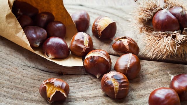 Vespa da galha do castanheiro pode afetar produção de castanha em zonas de Vinhais