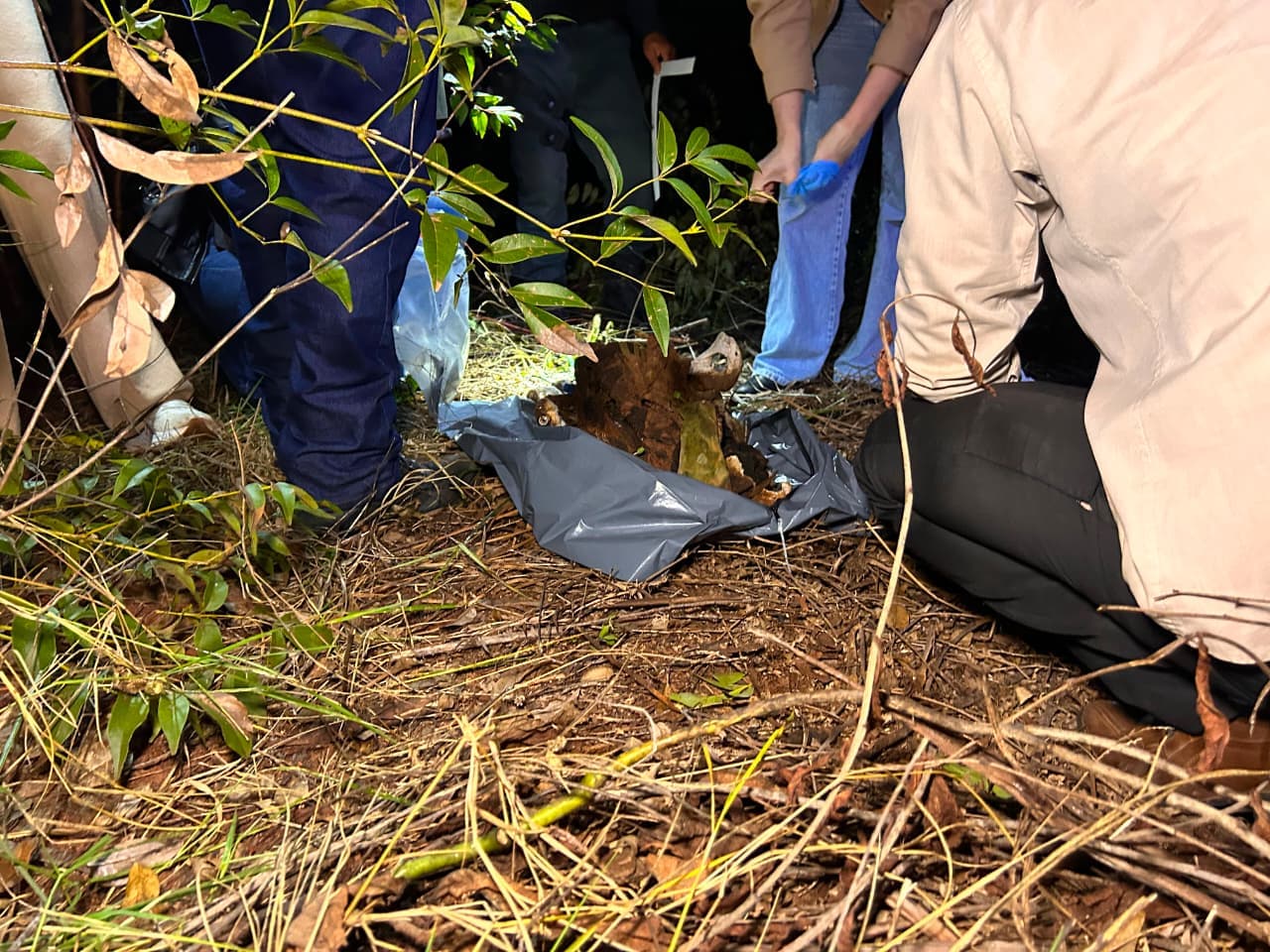 Ossada é encontrada em fazenda e pode ser de homem desaparecido há 3 anos