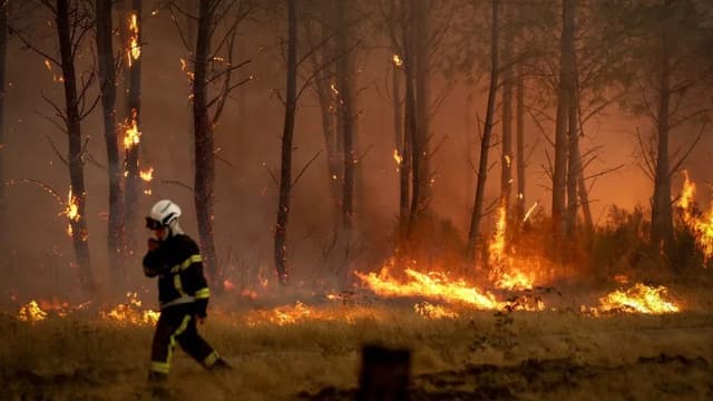 Cerca de 3 mil portugueses residem na área do fogo em França
