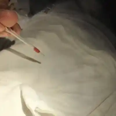 Boliviana que saiu de MS com cocaína líquida impregnada em roupa é presa em SP