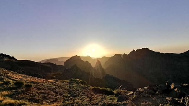 Risco de incêndio sobe na Madeira para o "Máximo" já no sábado