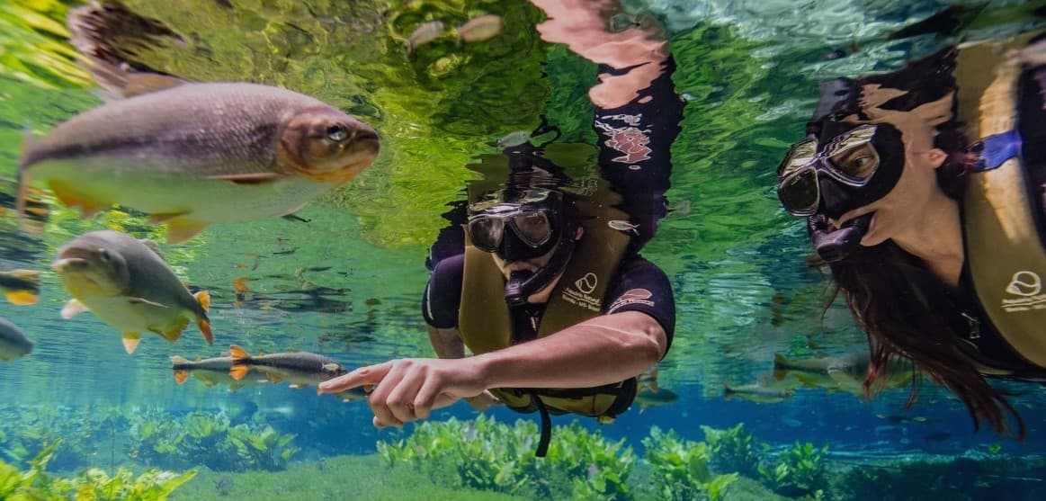 Bonito recebeu, em média, 1 turista a cada 2 minutos em 2026