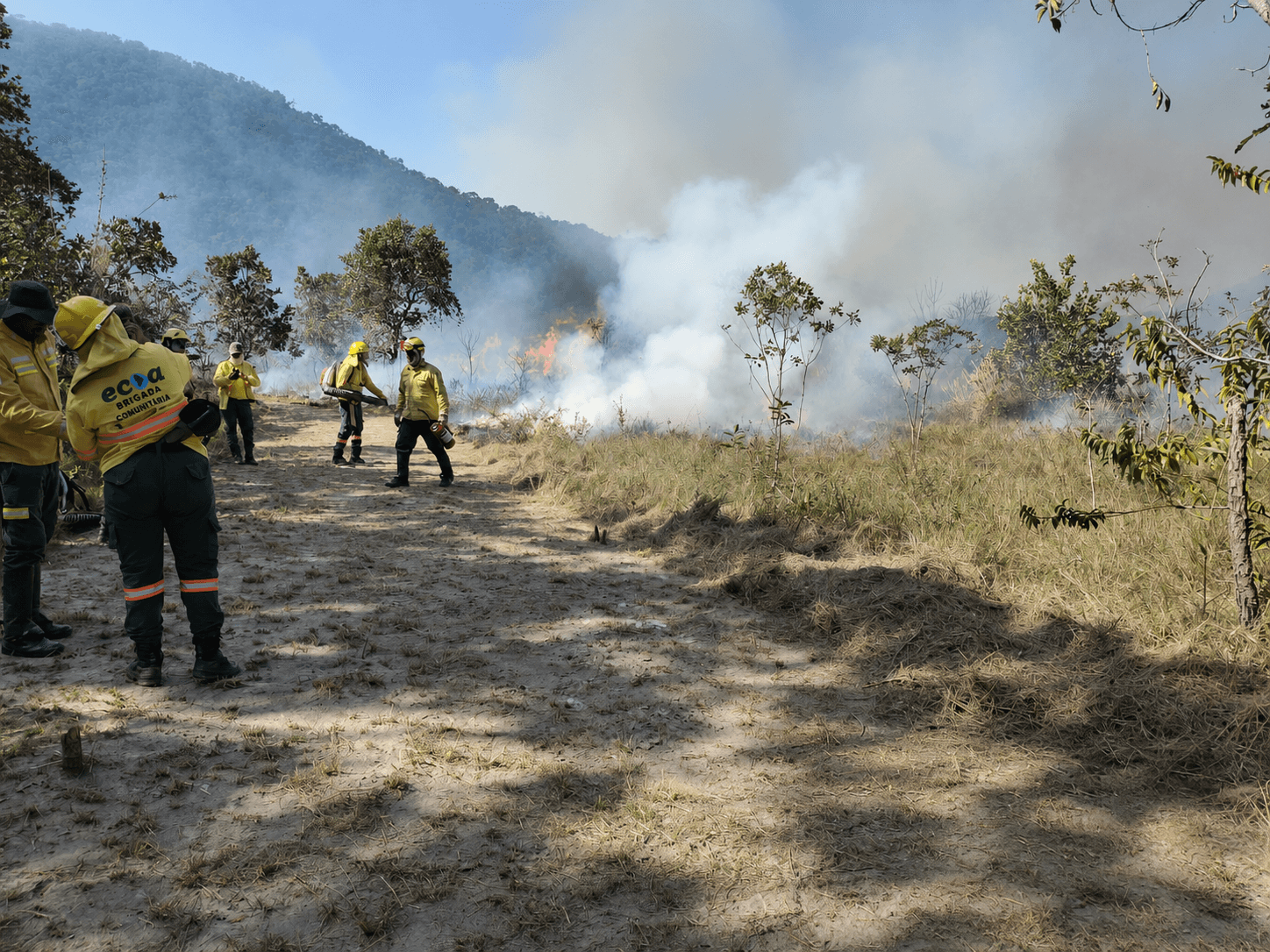 Queima prescrita inédita no Amolar reforça prevenção aos incêndios no Pantanal