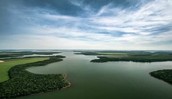 Pesquisa vai rastrear poluentes invisíveis em peixes da bacia do Paraná