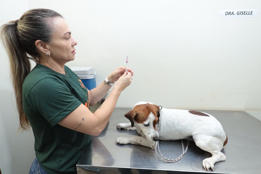 Consultório Móvel oferece atendimento gratuito para cães e gatos no Aeroporto