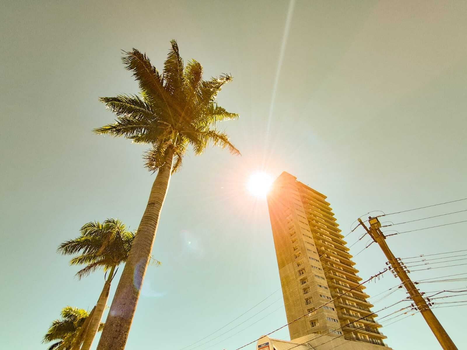 Campo Grande lidera seleção nacional de projetos sobre saúde e clima