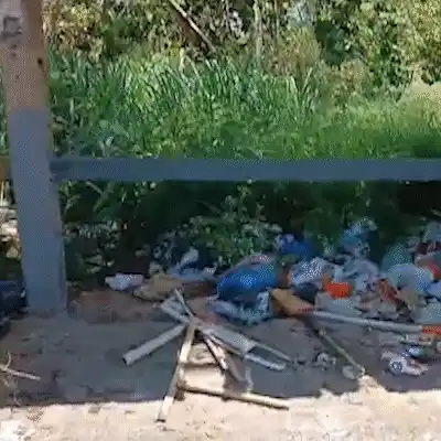 Matagal invade calçada e atrapalha de pedestres a motoristas no Coophatrabalho