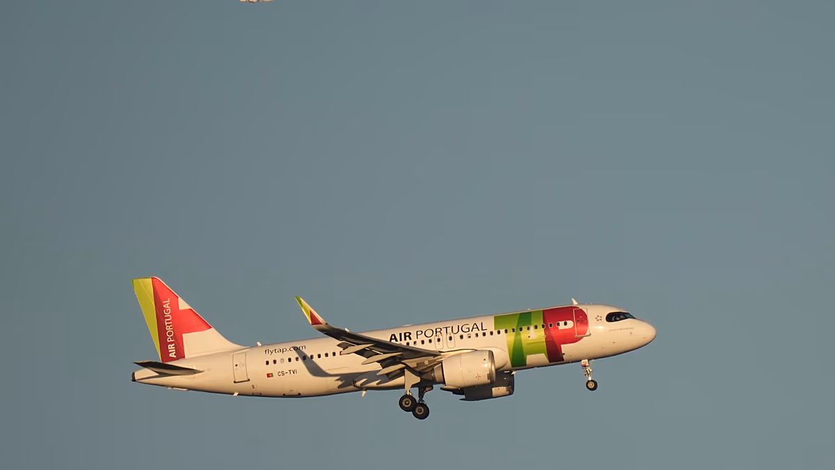 TAP Air Portugal: Lufthansa vence disputa pela privatização com oferta superior a um bilhão de euros