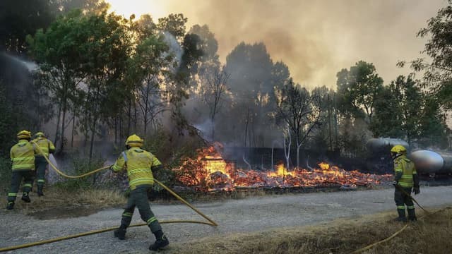 Milhares de pessoas trabalham diariamente na proteção do país