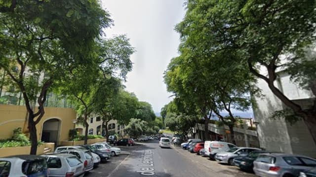 Galho de grande porte ameaçava cair em carros na via pública