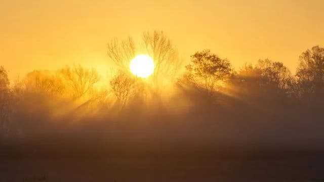 Protecção Civil recomenda cuidados redobrados devido ao aumento do calor