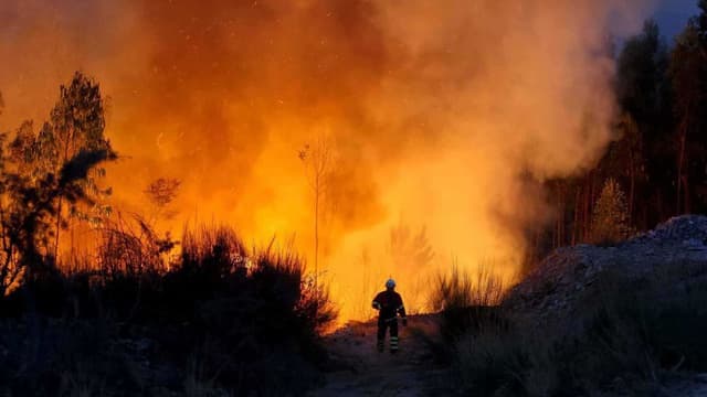 Mais de 30 concelhos do interior Norte e Centro em perigo máximo de incêndio
