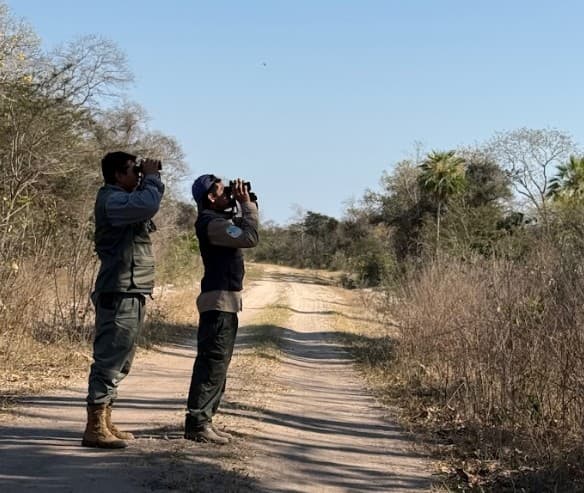 Big Day das Araras Azuis reúne Brasil, Bolívia e Paraguai em contagem da espécie