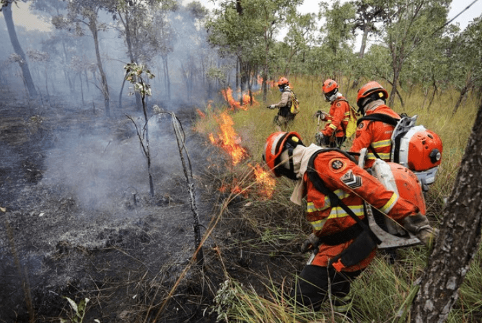Desigualdade define capacidade de enfrentar incêndios no Pantanal
